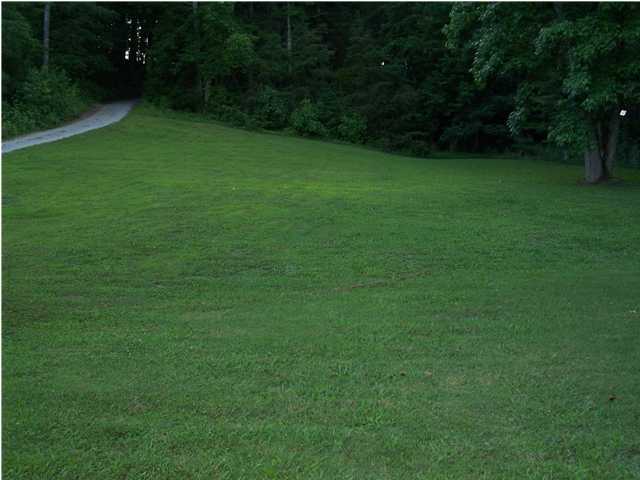 740 Big Neck Road Grandview, TN 37337 - Photo 3 of 9 Additional Photo
