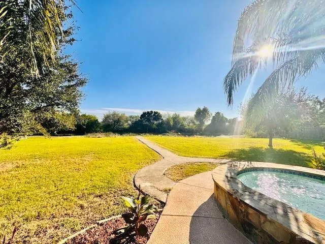 a view of swimming pool with trees