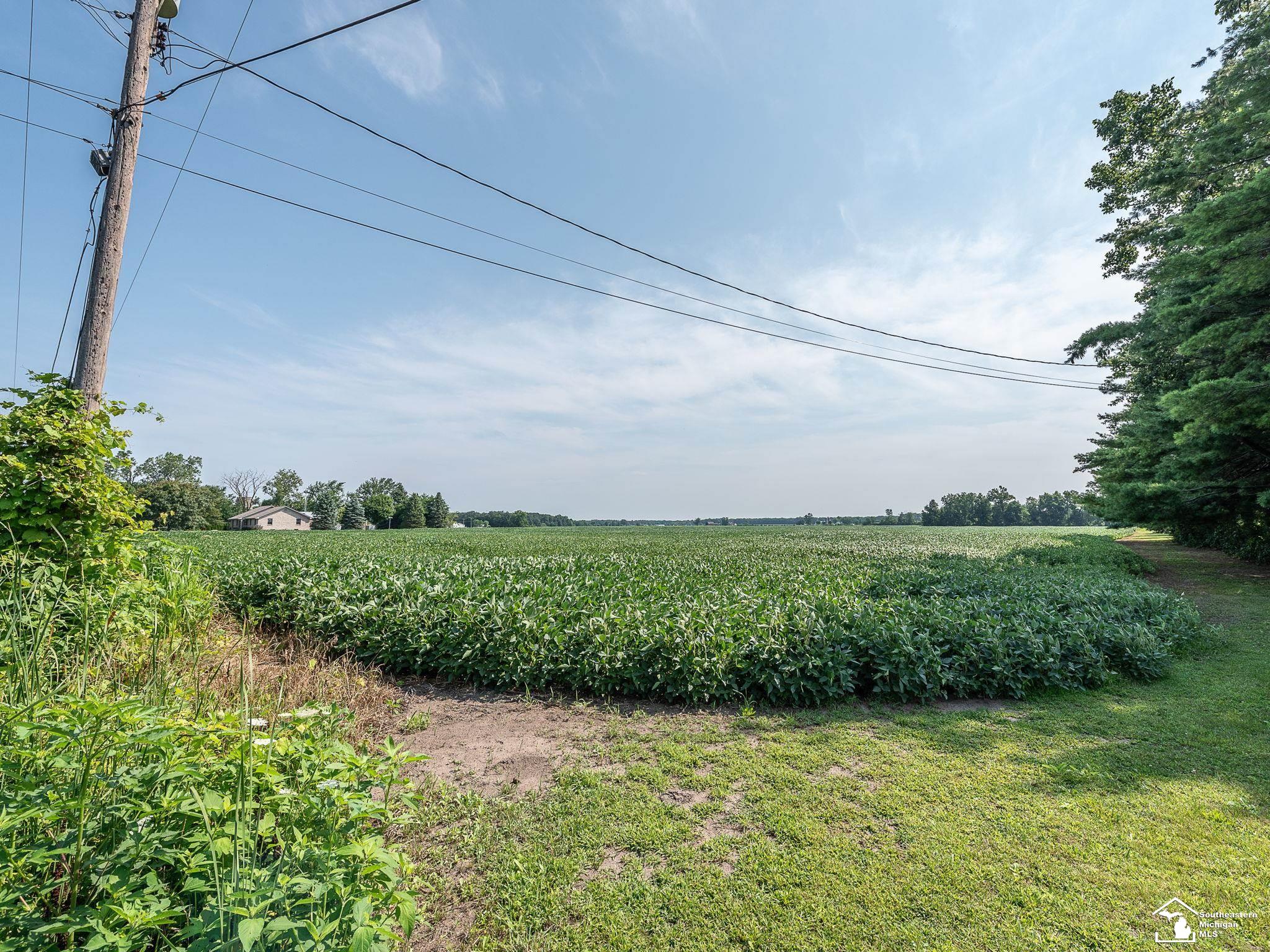 0 Steffas Road Maybee, MI 48159 - Photo 5 of 11