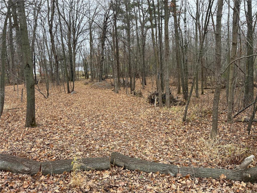 0 Maple Knoll Road Pine City, MN 55063 - Photo 11 of 19