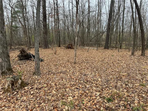 $189,000 | 0 Maple Knoll Road, Pine City, MN 55063