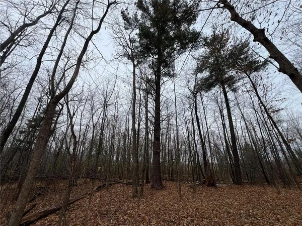 $189,000 | 0 Maple Knoll Road, Pine City, MN 55063