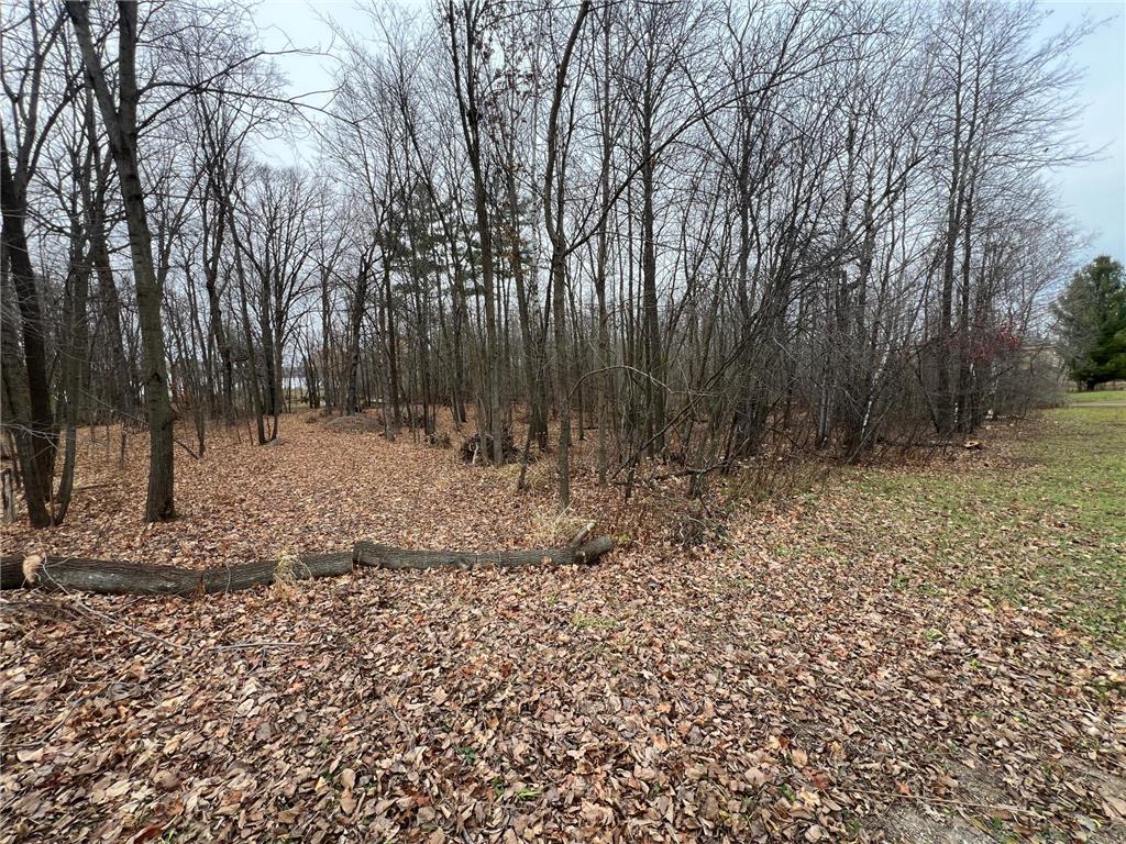 0 Maple Knoll Road Pine City, MN 55063 - Photo 10 of 19