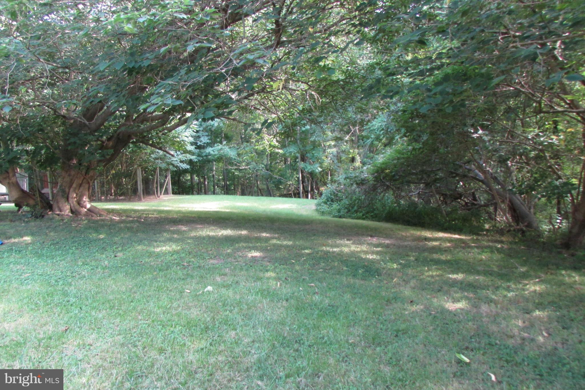 14074 Washington Mill Road King George, VA 22485 - Photo 21 of 24 Exterior (Rear)