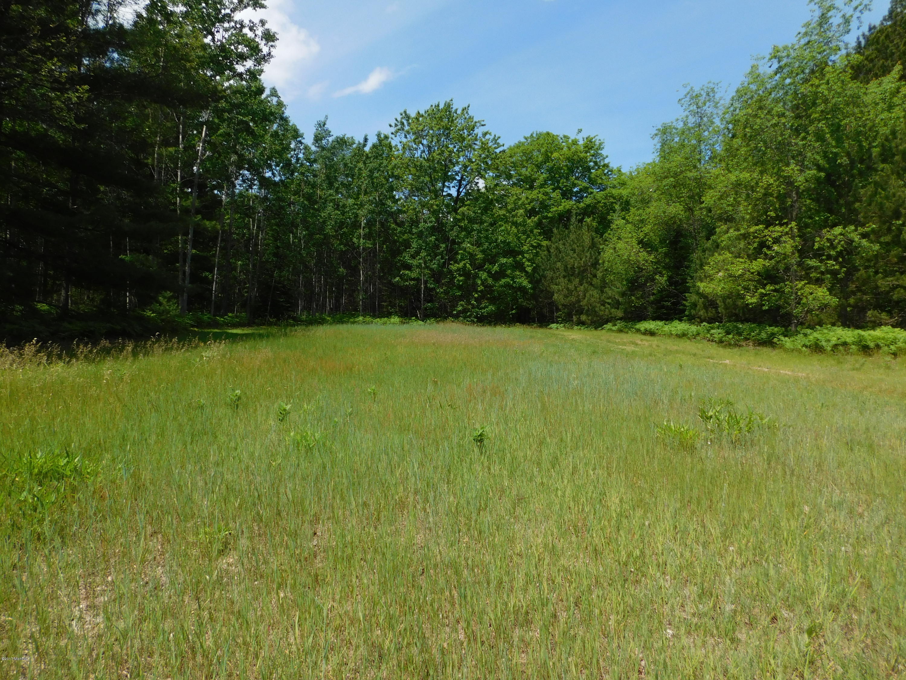 2281 Pearsall Road Fairview, MI 48621 - Photo 33 of 61 DSCN2748