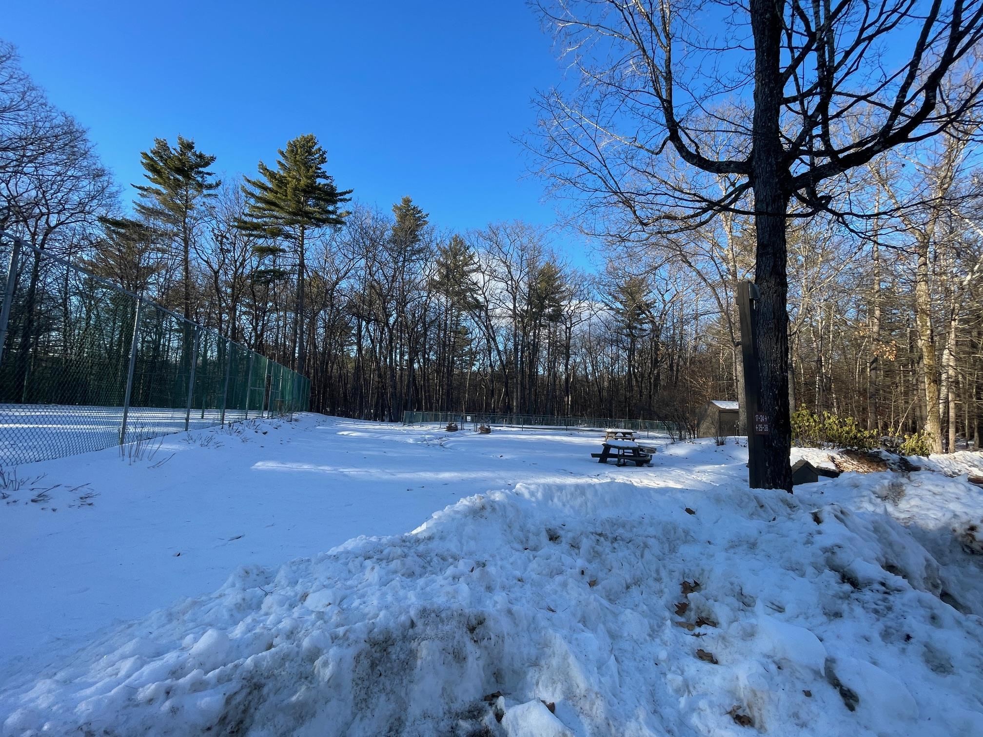 1 Woodland Pines Road, Unit 1 Intervale, NH 03845 - Photo 36 of 38