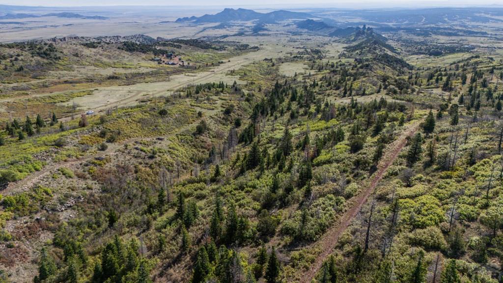 2004 Bear Springs Road Walsenburg, CO 81089 - Photo 27 of 68