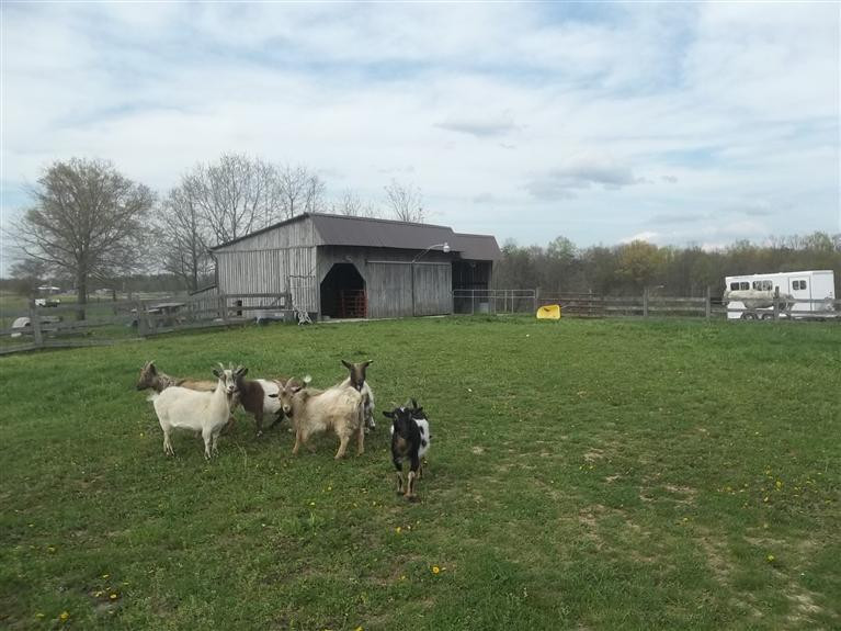 2610 New Cut Road Jeffersonville, KY 40337 - Photo 25 of 36 Photo 25