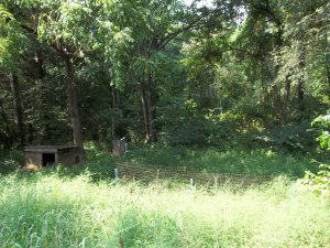 2665 Williams Road Bedford, IN 47421 - Photo 12 of 13 Gallery Image 12