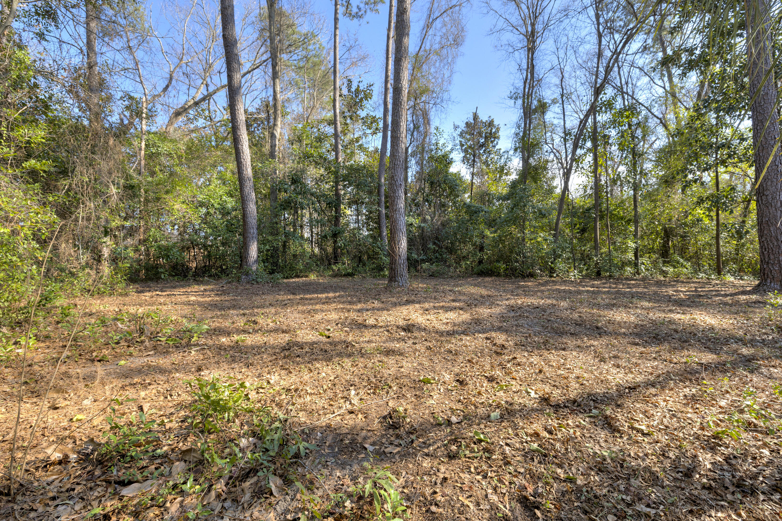 971 Heather Lane Sumter, SC 29154 - Photo 8 of 55