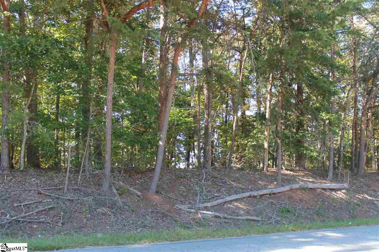 14-15 Country Club Road Pickens, SC 29671 - Photo 4 of 11