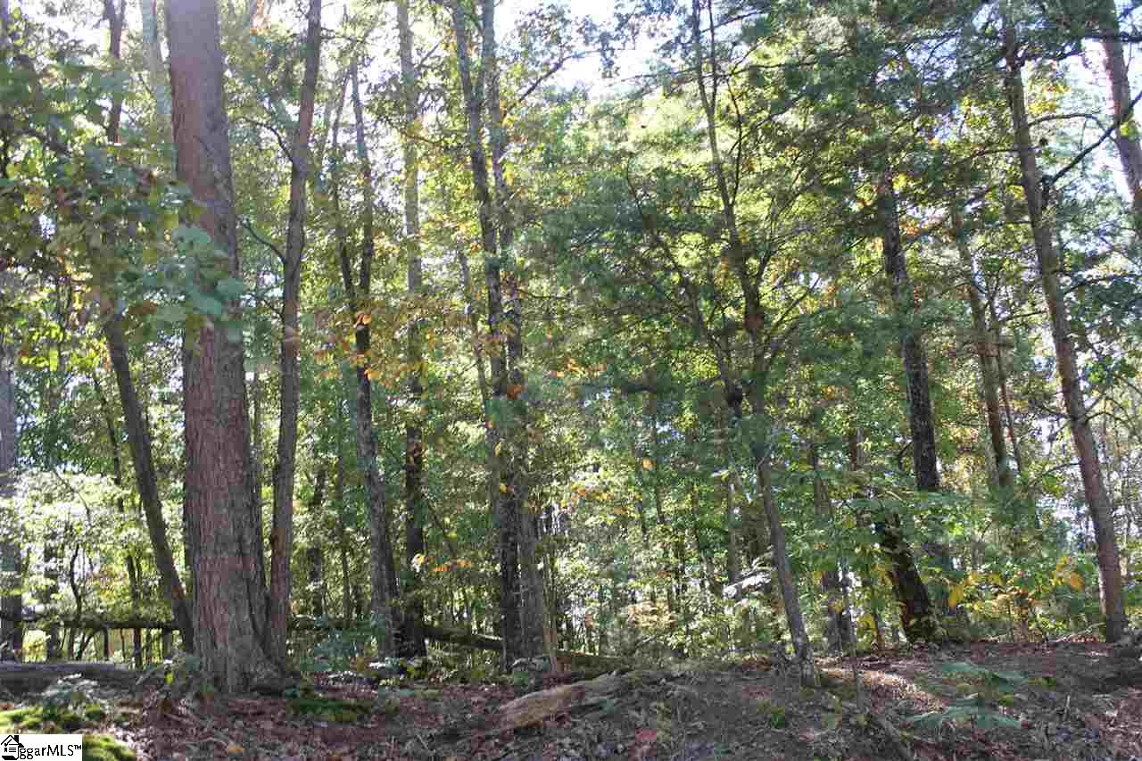 14-15 Country Club Road Pickens, SC 29671 - Photo 7 of 11