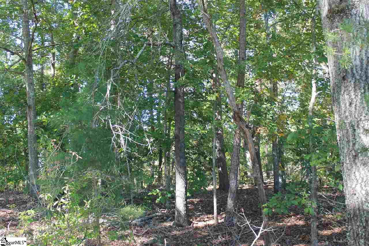 14-15 Country Club Road Pickens, SC 29671 - Photo 8 of 11
