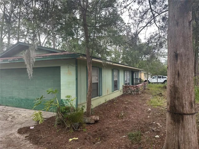 a backyard of a house with plants and tree