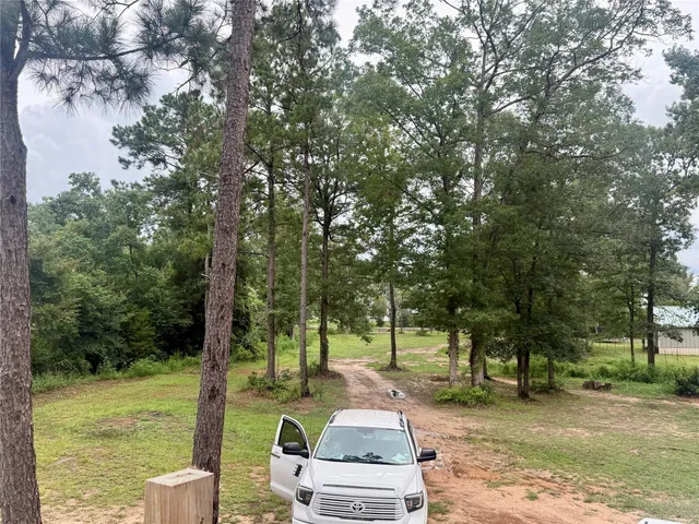 a view of a yard with a tree