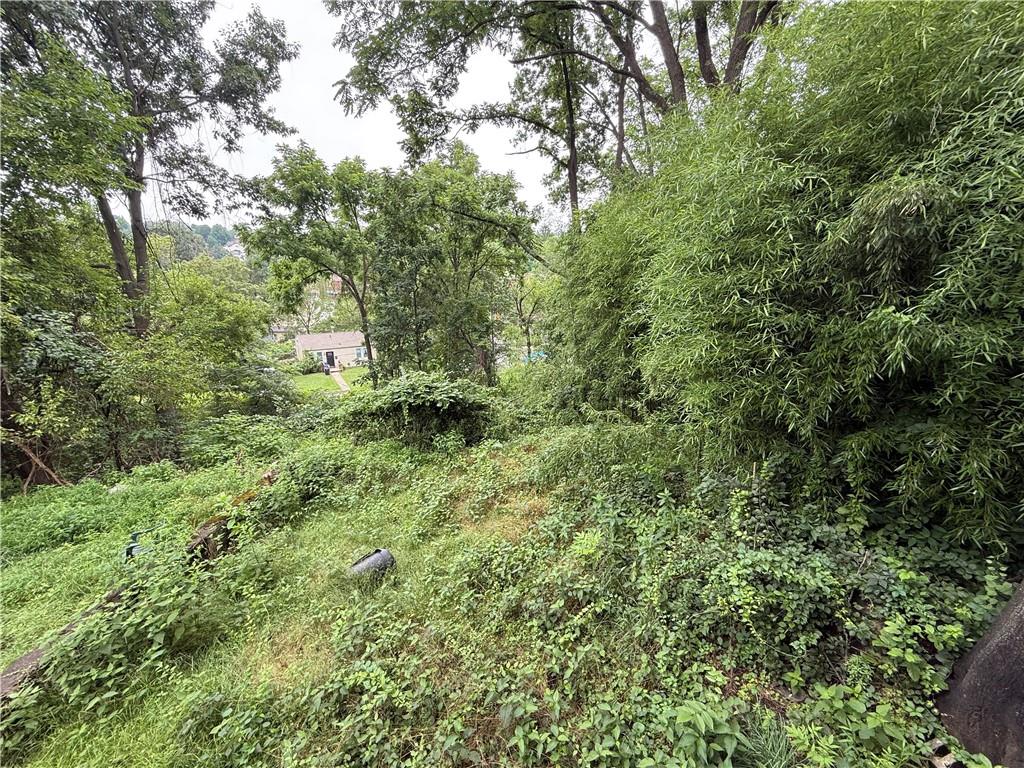 1336 Complete Street Pittsburgh, PA 15212 - Photo 14 of 14 a view of outdoor space and garden
