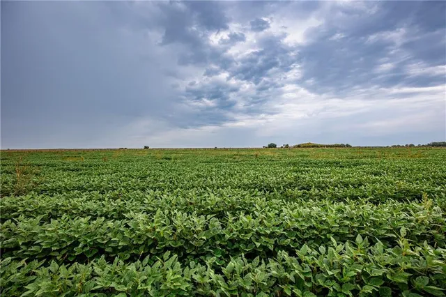 $650,000 | 32714 A Northwest Jackson Road, Richmond, KS 66080