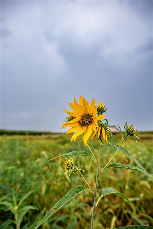 32714 A Northwest Jackson Road Richmond, KS 66080 - Photo 82 of 96