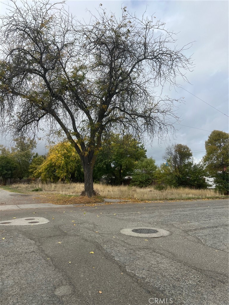 304 6th Street Corning, CA 96021 - Photo 2 of 2 a view of dirt field with trees