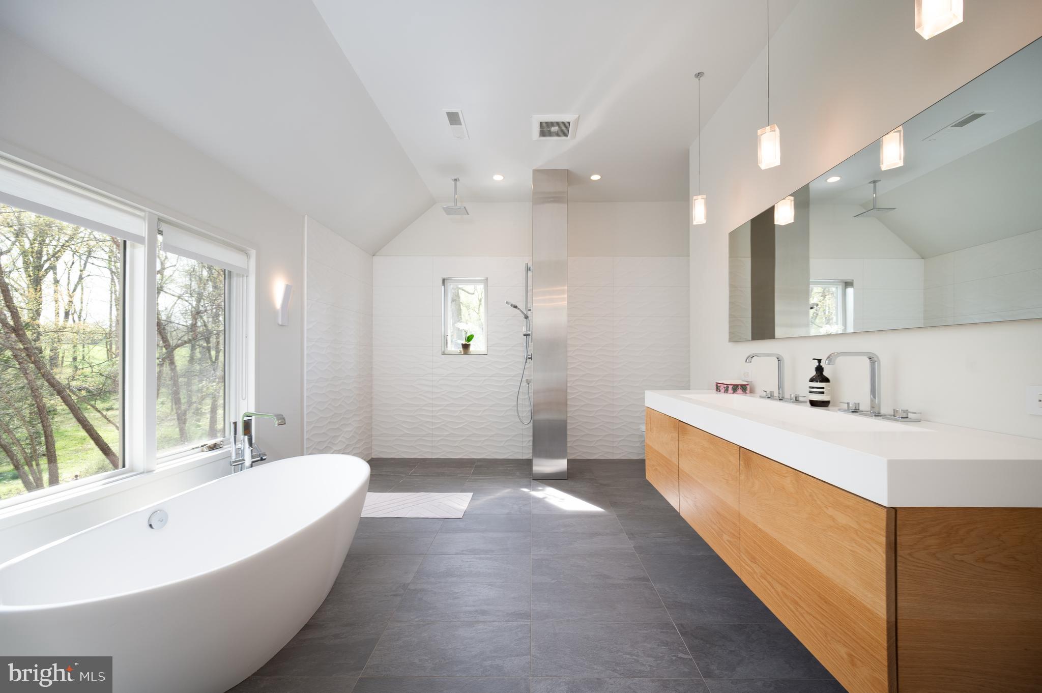 1205 Scott Road Kennett Square, PA 19348 - Photo 32 of 60 Luxurious primary bathroom