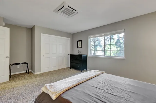 a view of a street with of a large tree