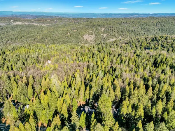 a view of a house with a yard and large tree
