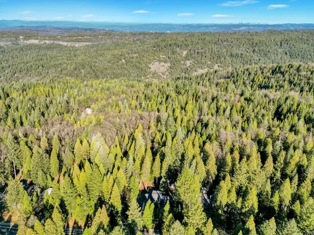 a view of a house with a yard and large tree