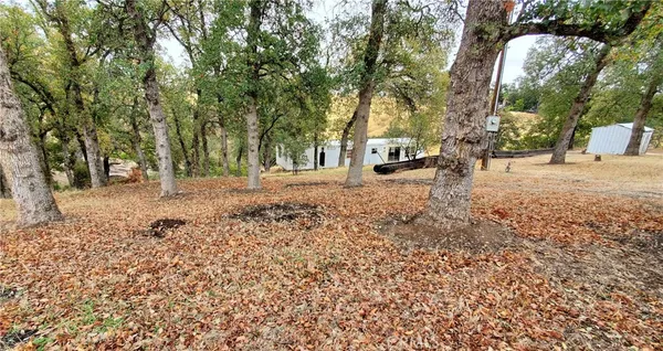 a view of a yard with trees