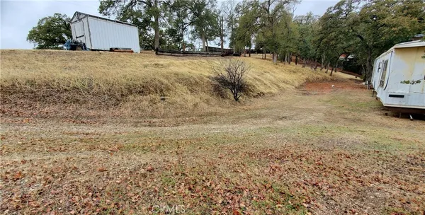 a view of a yard with a tree
