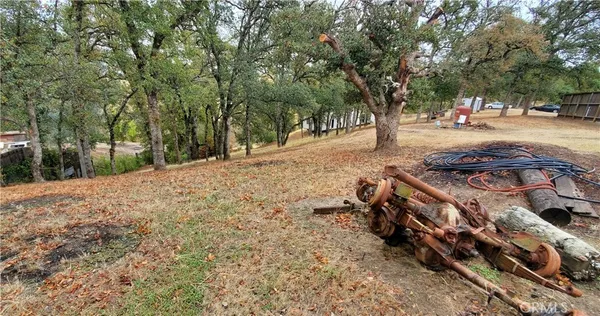 a view of a yard with trees