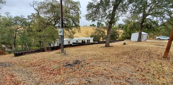 a view of a yard with trees
