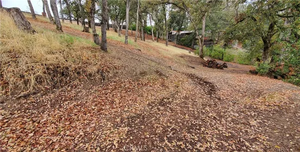 a view of dirt yard with trees