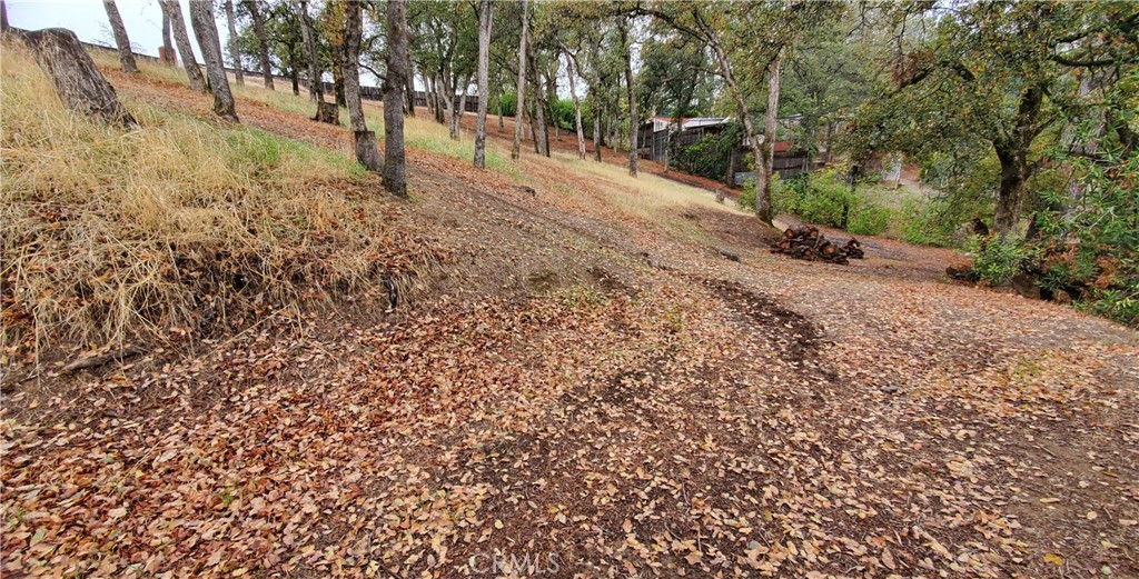 7126 Coyote Point Corning, CA 96021 - Photo 8 of 18 a view of dirt yard with trees
