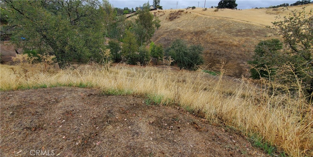 7126 Coyote Point Corning, CA 96021 - Photo 10 of 18 a view of a yard