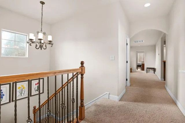 a view of a backyard with plants