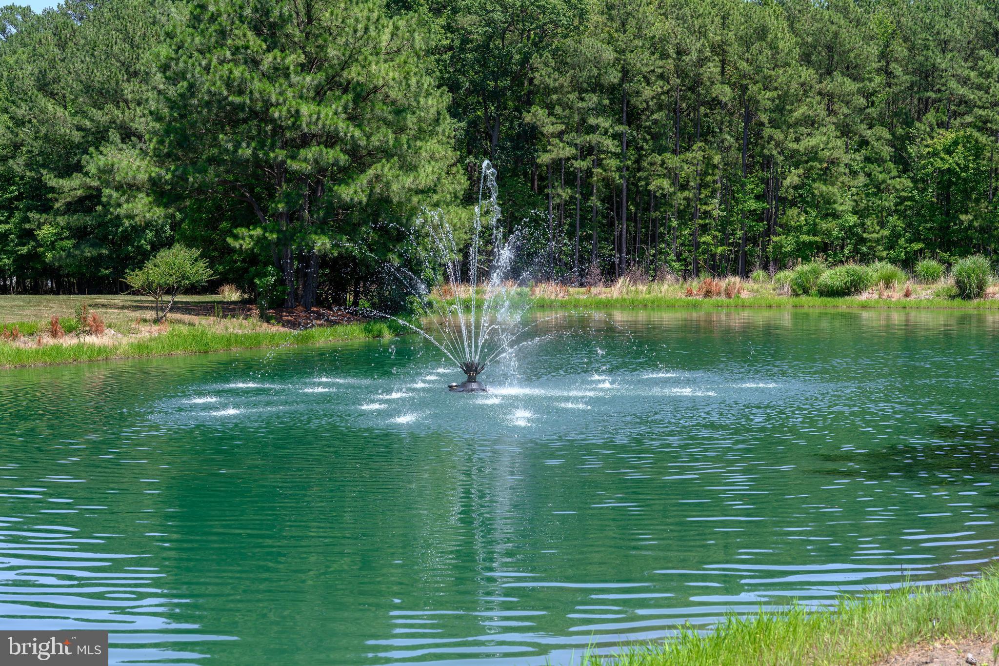 7013 Bridgepointe Drive Chester, MD 21619 - Photo 40 of 48 Pond Located by house
