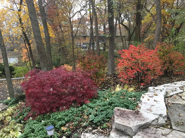 $675,444 | 501 Glenwood Trail, Elgin, IL 60120