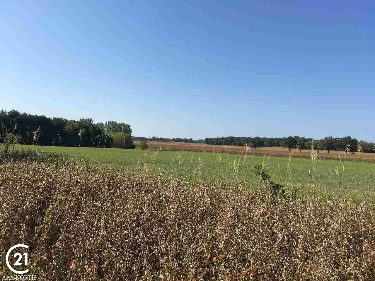 0 Kidder Rd Parcel 3 Romeo, MI 48065 - Photo 9 of 19