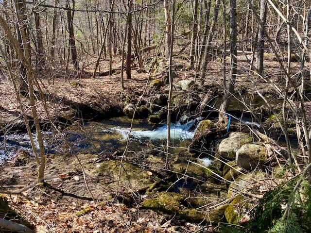 178 Maplecrest Road Parsonsfield, ME 04047 - Photo 17 of 25 IMG_0098