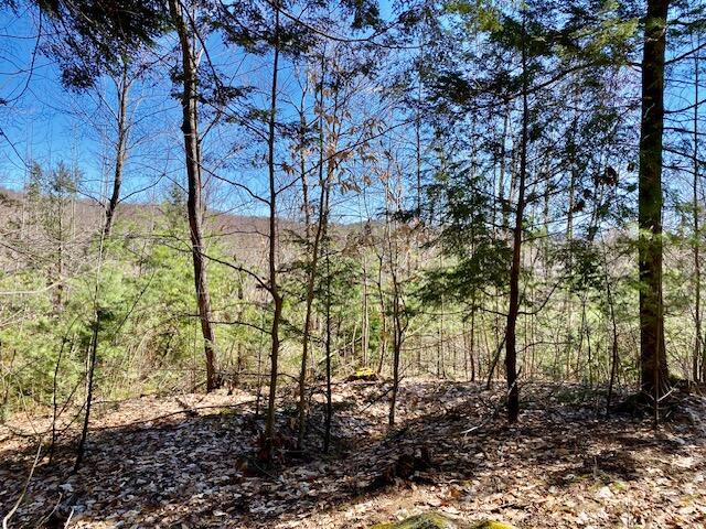 178 Maplecrest Road Parsonsfield, ME 04047 - Photo 18 of 25 IMG_0100