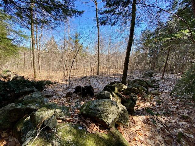 178 Maplecrest Road Parsonsfield, ME 04047 - Photo 20 of 25 IMG_0102