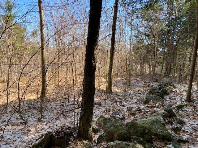 178 Maplecrest Road Parsonsfield, ME 04047 - Photo 21 of 25 IMG_0104