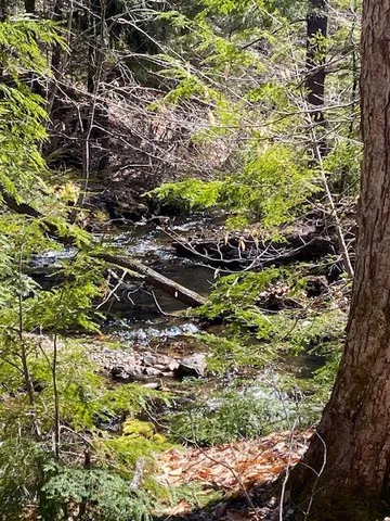 $225,000 | 178 Maplecrest Road, Parsonsfield, ME 04047