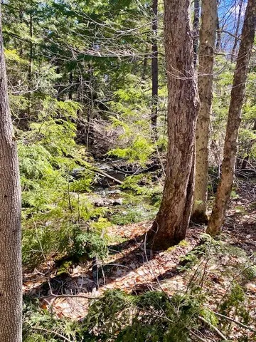 $225,000 | 178 Maplecrest Road, Parsonsfield, ME 04047