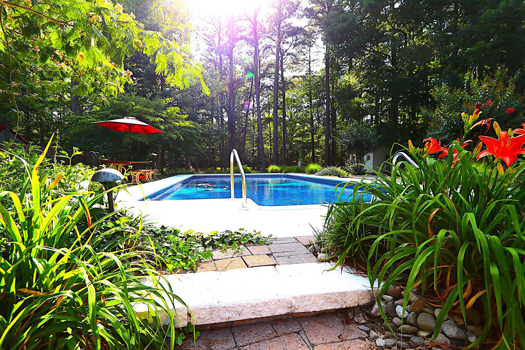 342 Wicomico Road Stevensville, MD 21666 - Photo 7 of 61 Your Personal Paradise