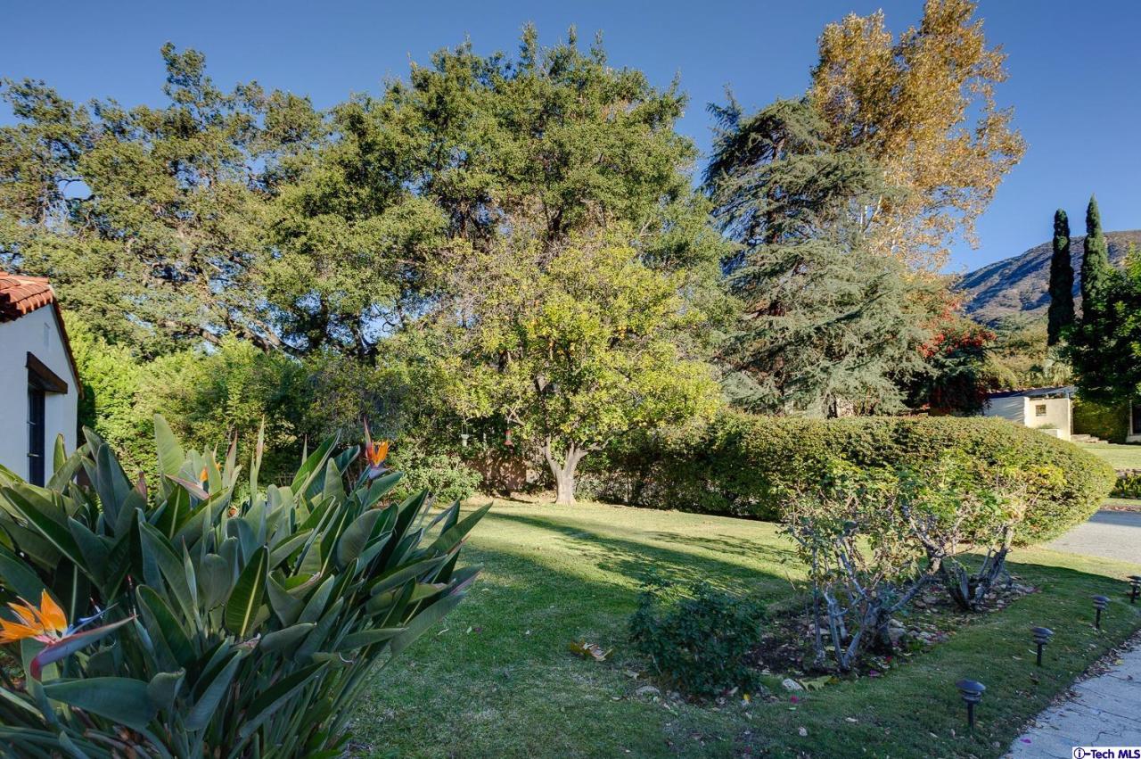 3301 Mount Curve Avenue Altadena, CA 91001 - Photo 29 of 29 a view of a garden with a tree