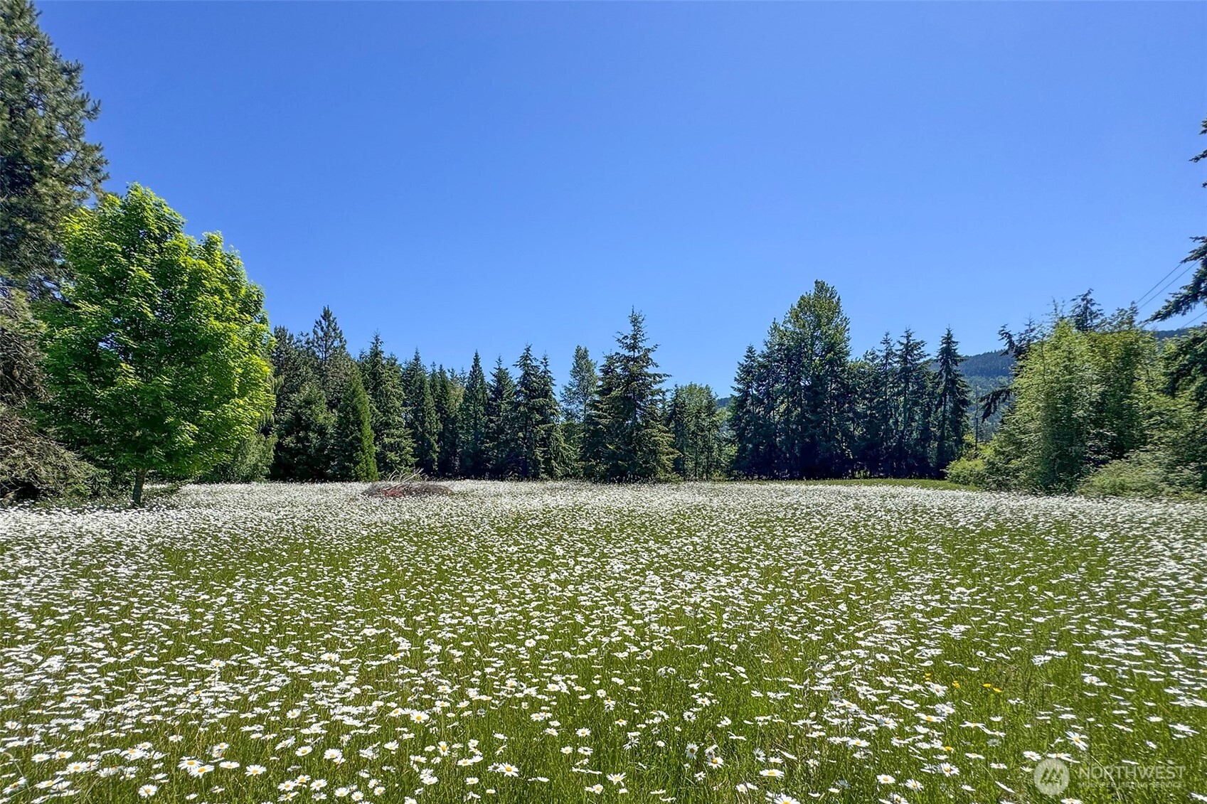 3582 Happy Valley Road Sequim, WA 98382 - Photo 34 of 40