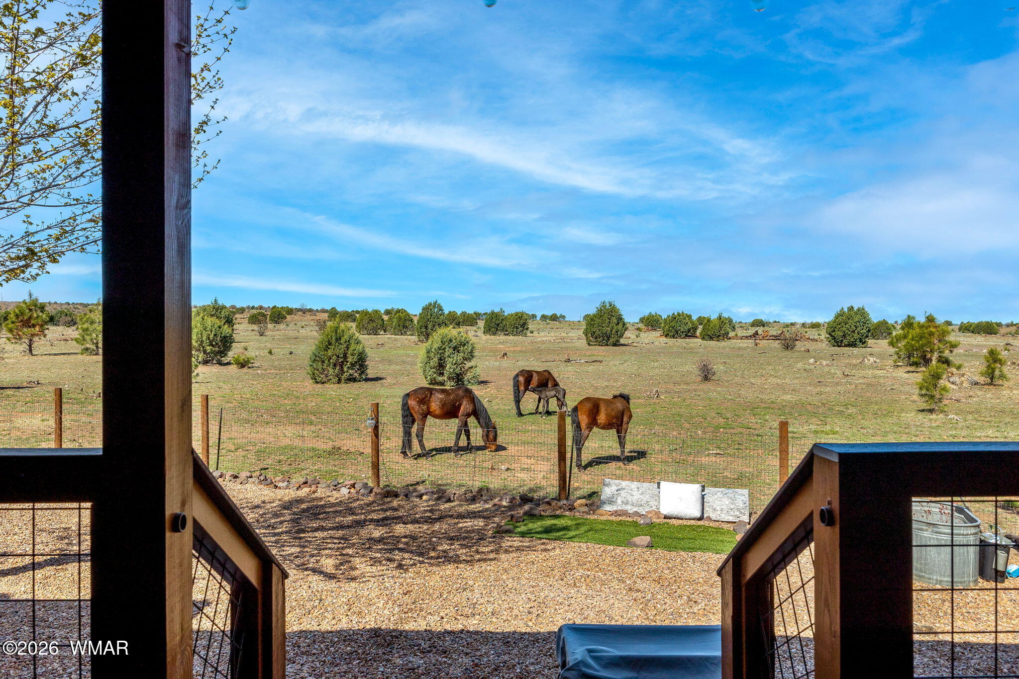 2660 Palomino Trail Overgaard, AZ 85933 - Photo 26 of 60 a view of a balcony with an ocean view