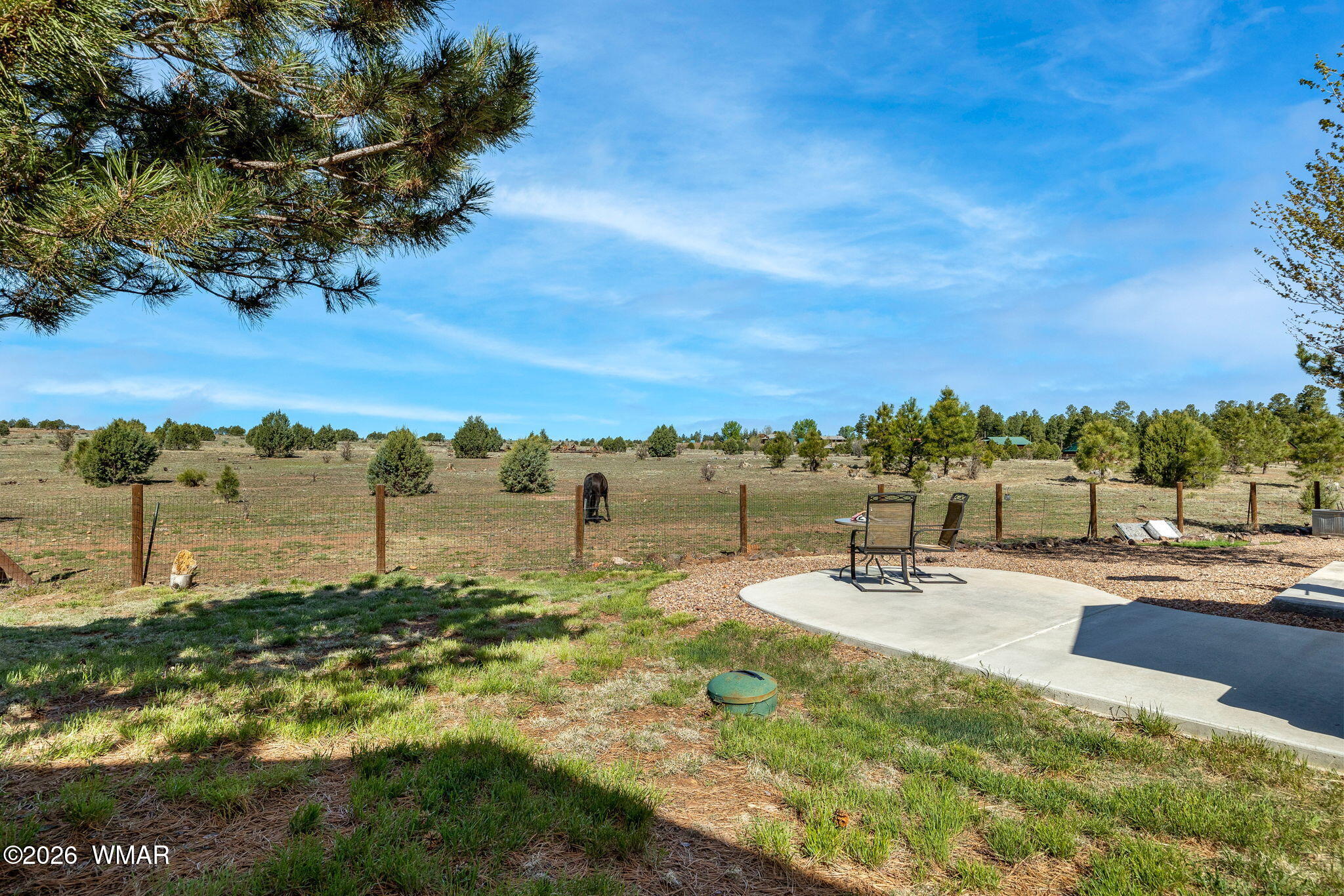 2660 Palomino Trail Overgaard, AZ 85933 - Photo 28 of 60 BACK YARD