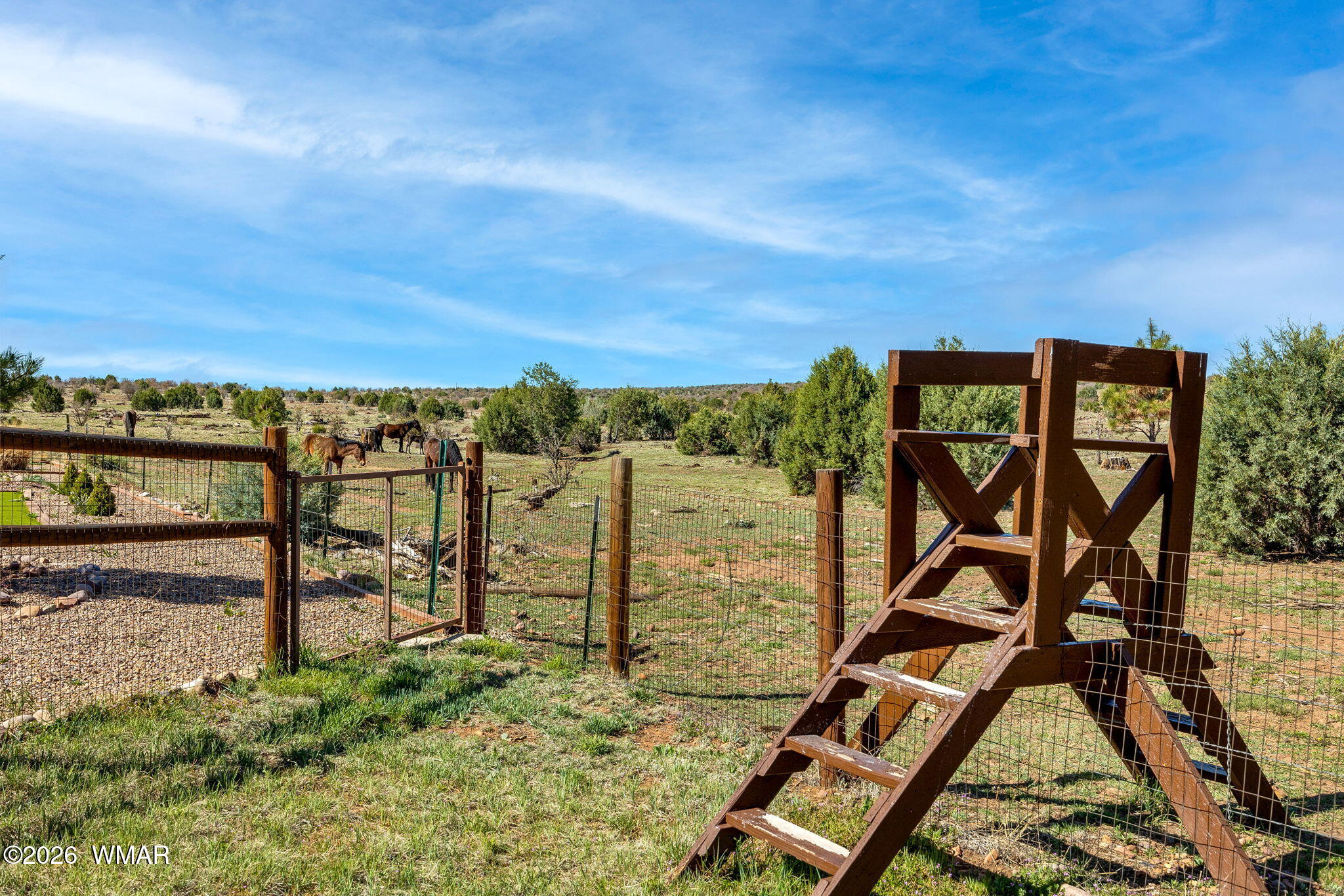 2660 Palomino Trail Overgaard, AZ 85933 - Photo 29 of 60 TO HIKE IN THE FOREST